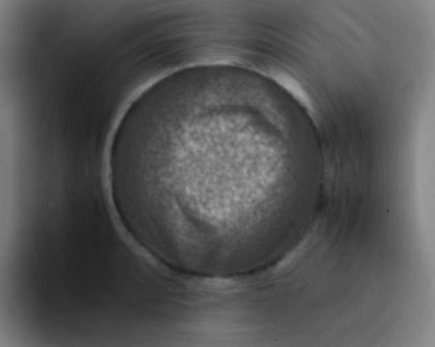 X0000094341088200711162005