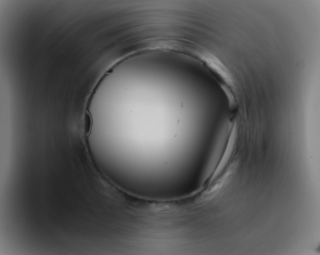 X0000094341089200711162005