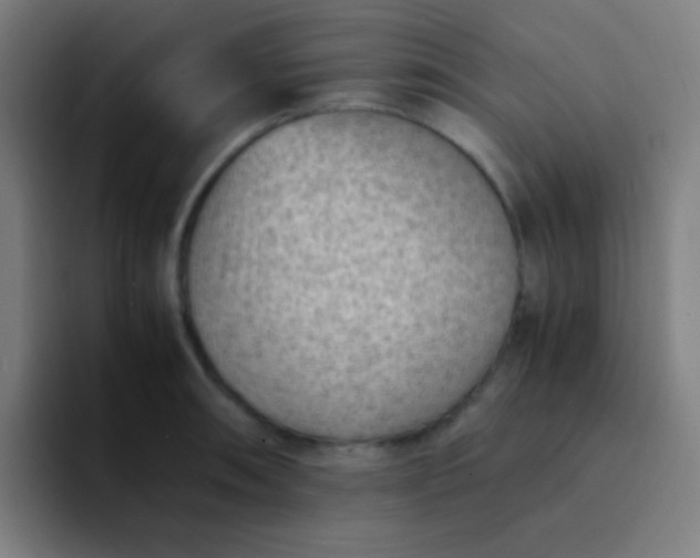 X0000094341090200711162005