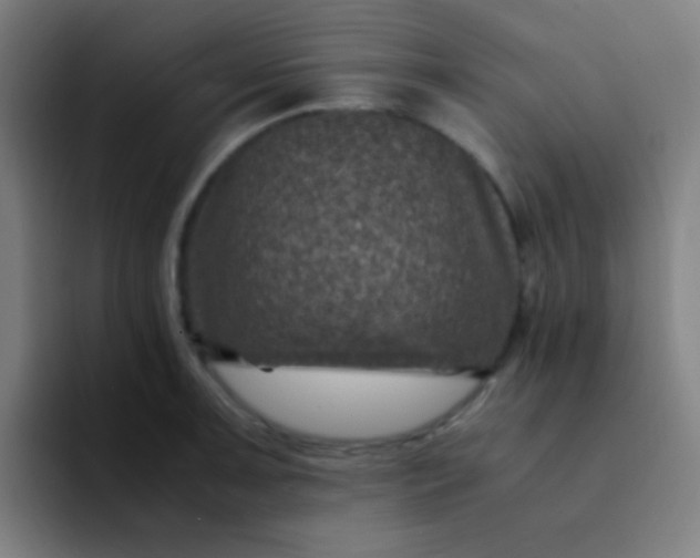 X0000094341091200711162005