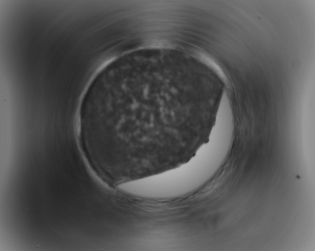 X0000094341095200711162005