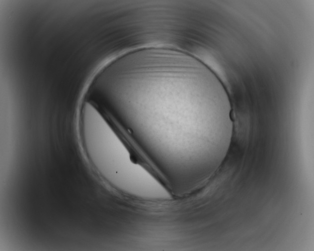 X0000094341096200711162005