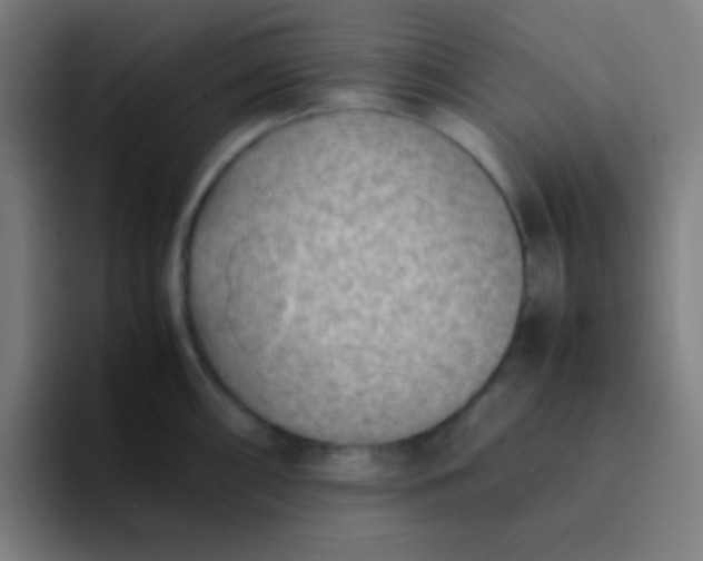 X0000094341098200711162005