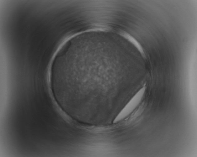 X0000094341099200711162005