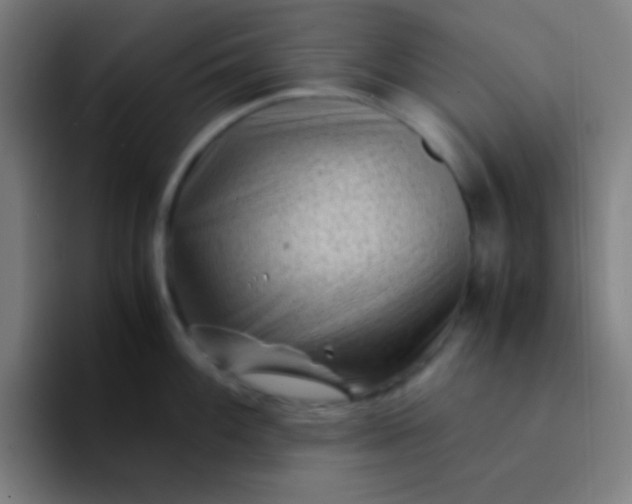 X0000094341100200711162005