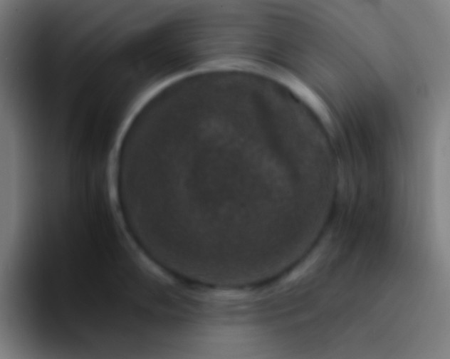 X0000094341102200711162005