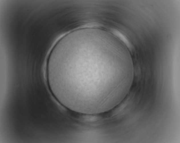 X0000094341103200711162005