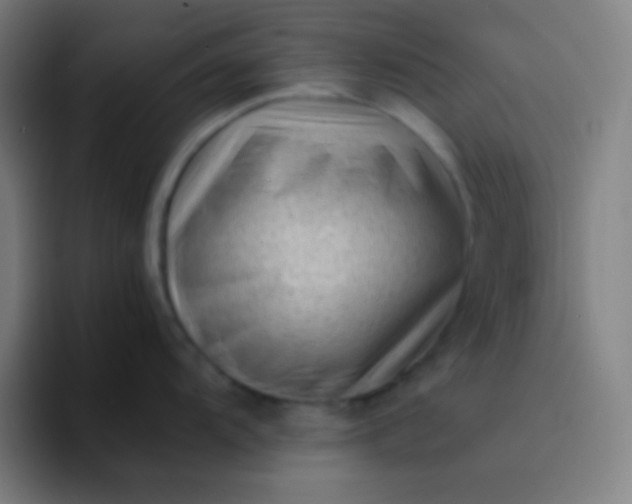 X0000094341104200711162005