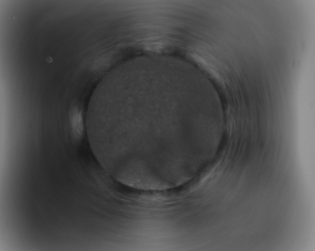 X0000094341106200711162004