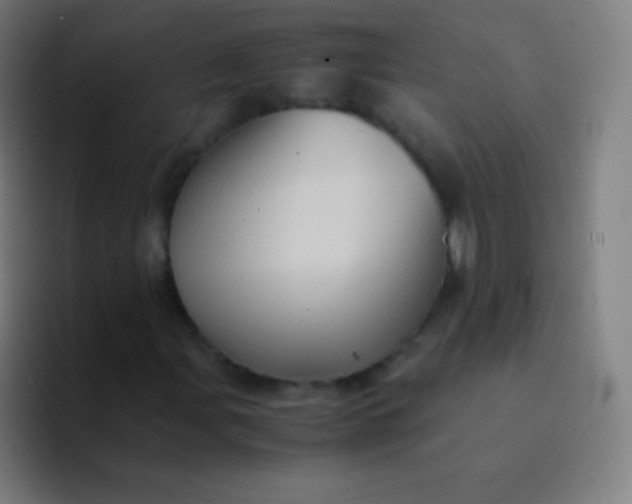 X0000094341107200711162004