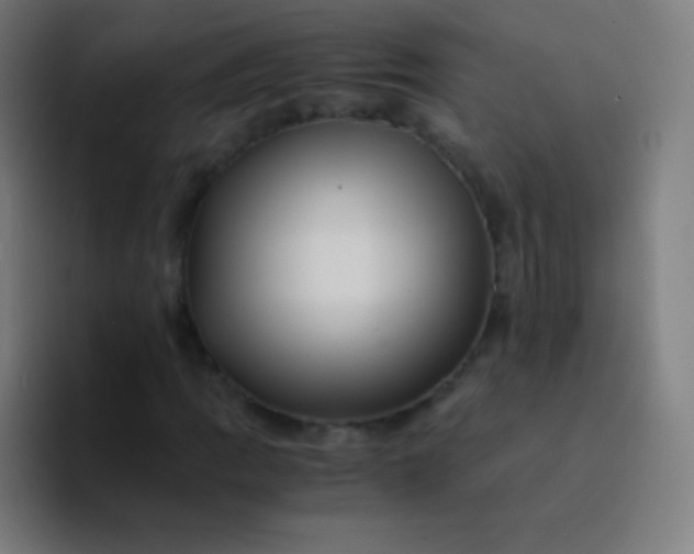 X0000094341109200711162004