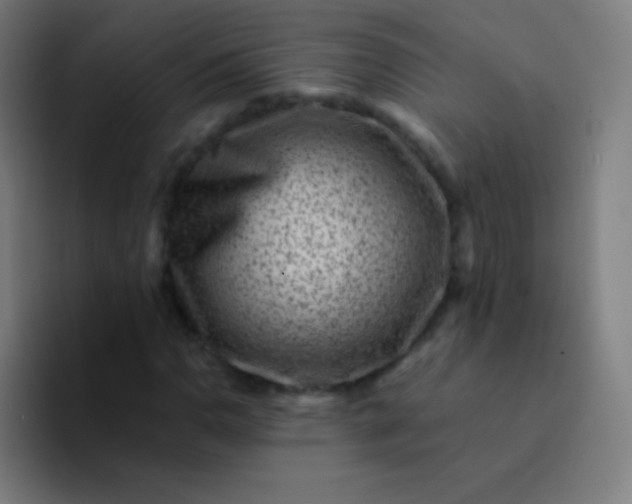 X0000094341110200711162004