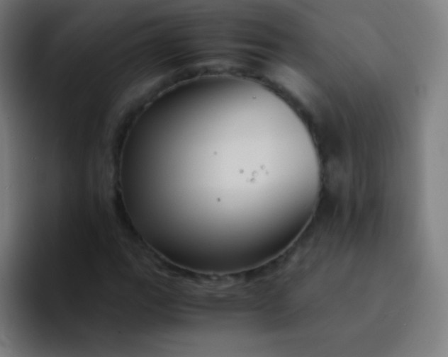 X0000094341111200711162004