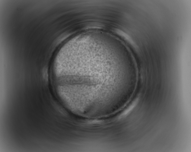 X0000094341113200711162004