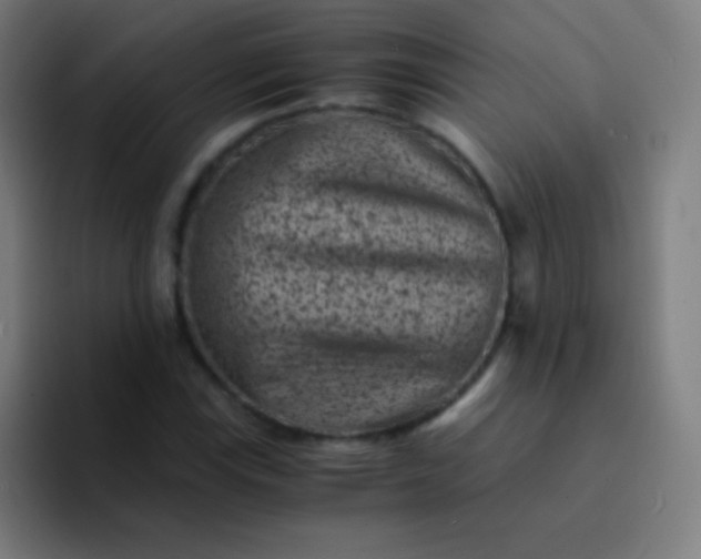 X0000094341115200711162004