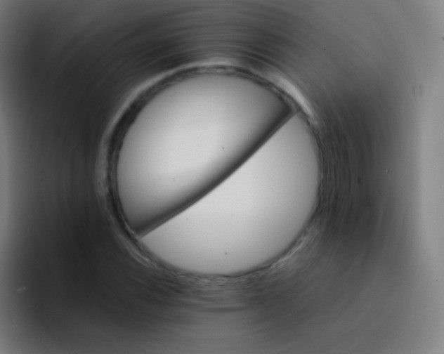 X0000094341116200711162004