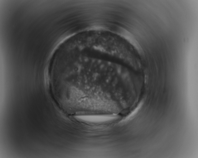 X0000094341117200711162004