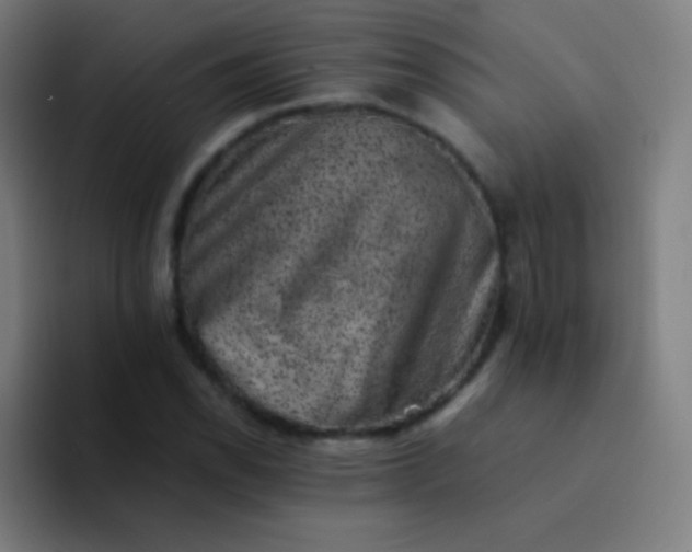 X0000094341118200711162004