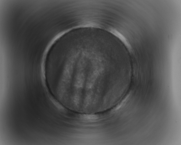 X0000094341120200711162004