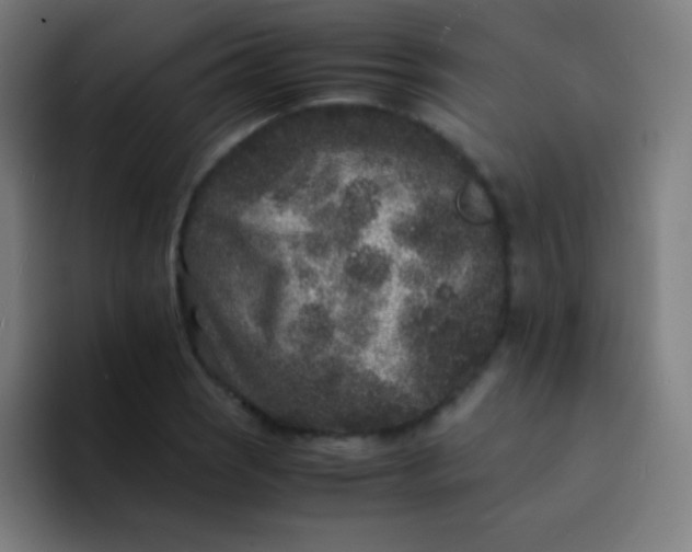 X0000094341121200711162004