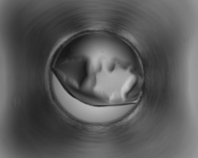 X0000094341122200711162004