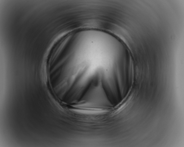 X0000094341123200711162004