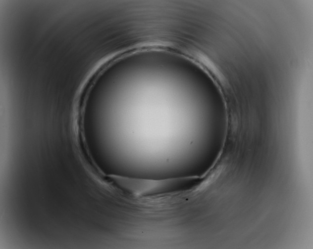 X0000094341124200711162004