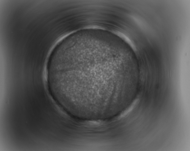 X0000094341125200711162004