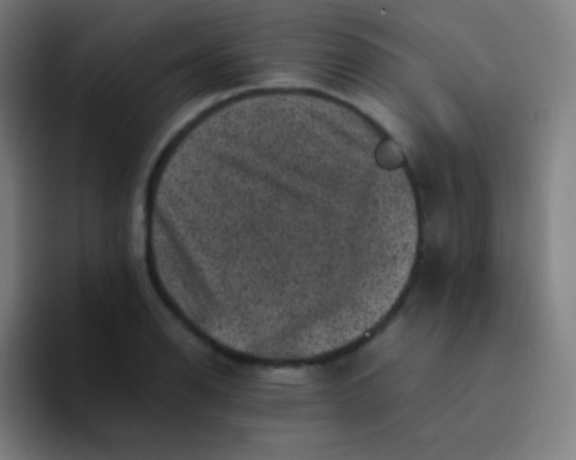 X0000094341126200711162004