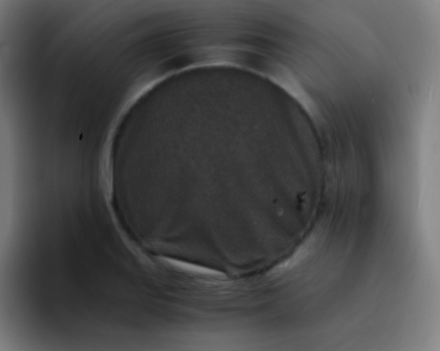 X0000094341127200711162004