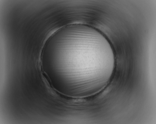 X0000094341129200711162004