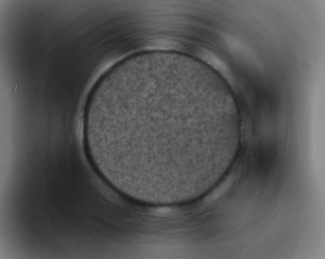 X0000094341130200711162004