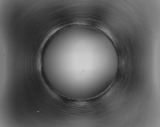 X0000094341131200711162004