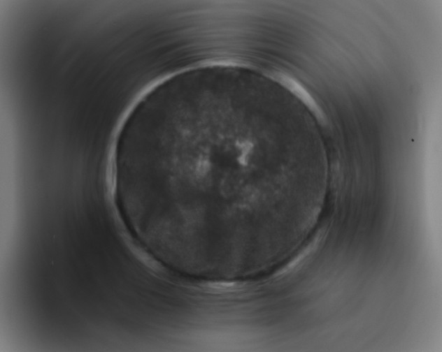 X0000094341132200711162004