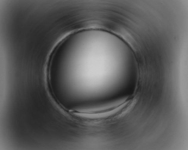 X0000094341134200711162004