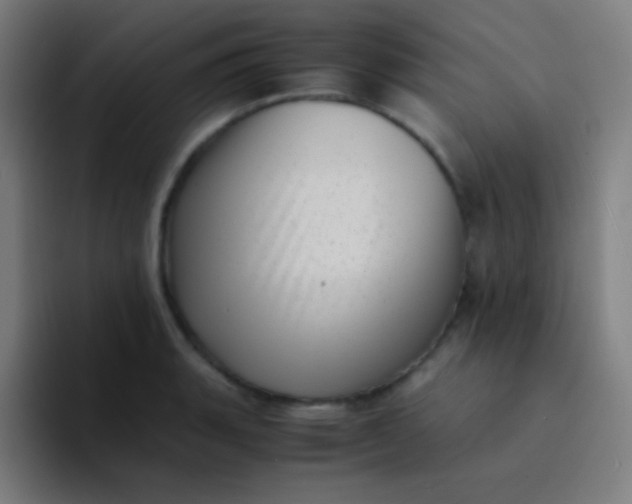 X0000094341135200711162004