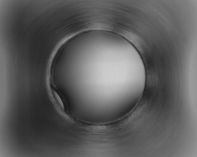 X0000094341136200711162004