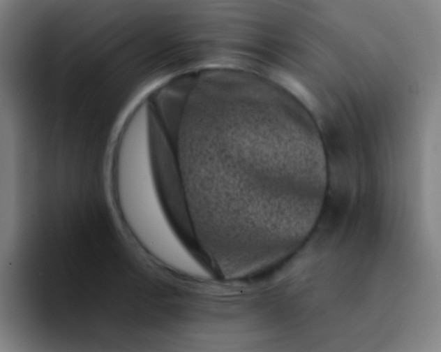 X0000094341138200711162004