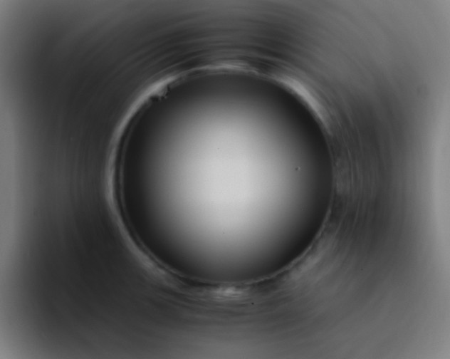 X0000094341139200711162004