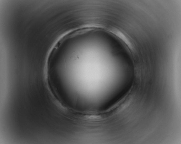 X0000094341140200711162004