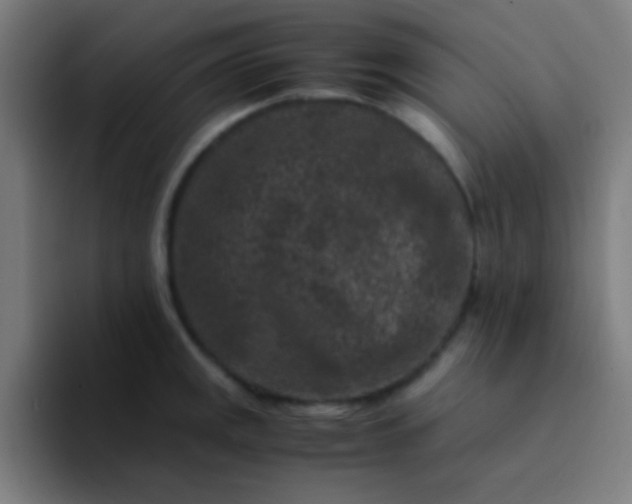 X0000094341141200711162004