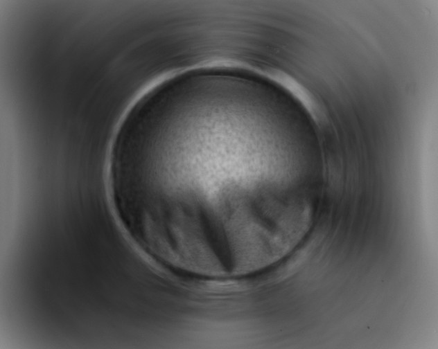 X0000094341142200711162004