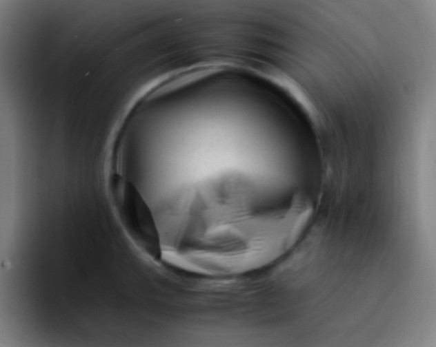 X0000094341143200711162005