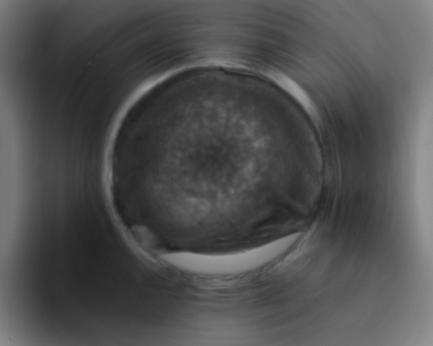 X0000094341144200711162005