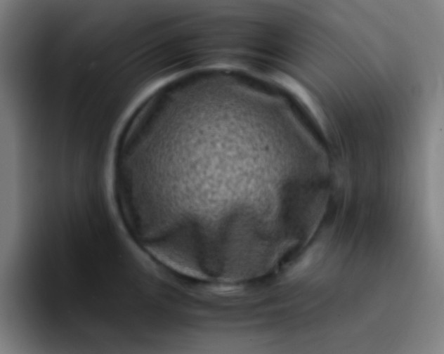 X0000094341147200711162005