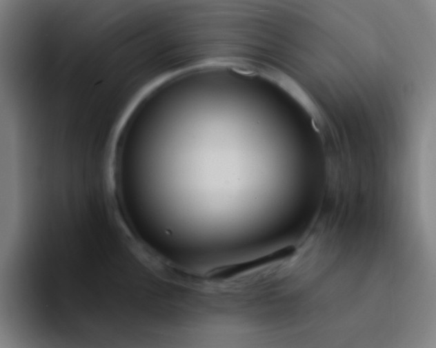 X0000094341148200711162005