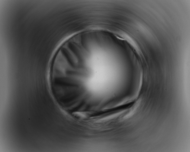 X0000094341149200711162005