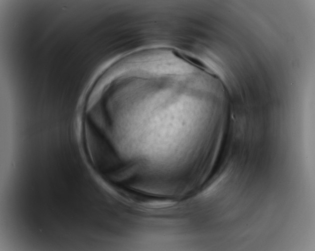 X0000094341151200711162005