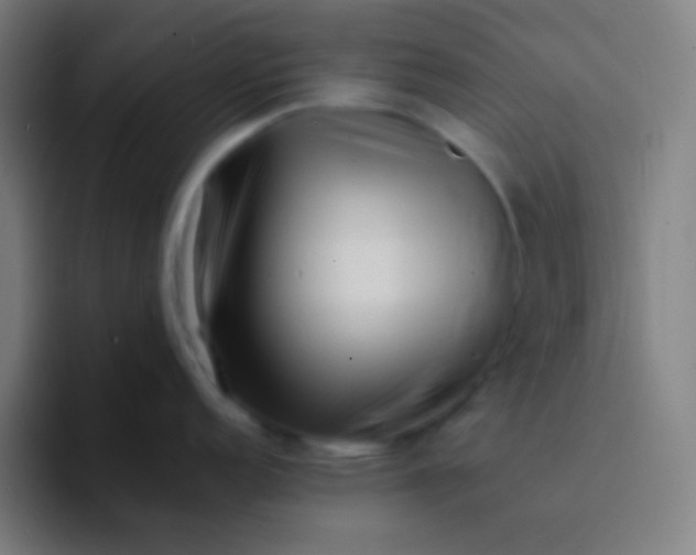 X0000094341152200711162005