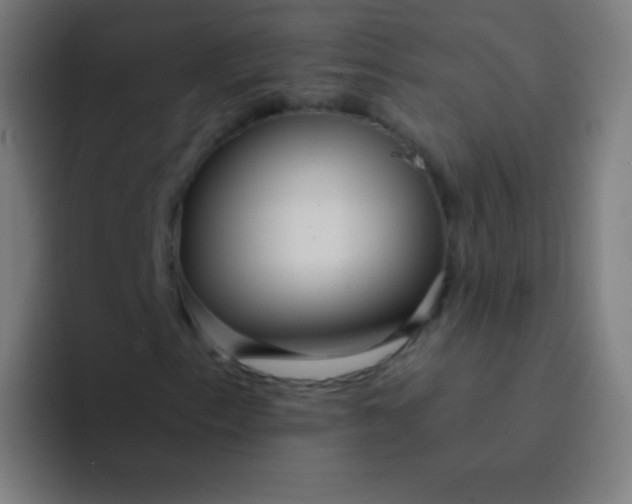 X0000094341153200711162004